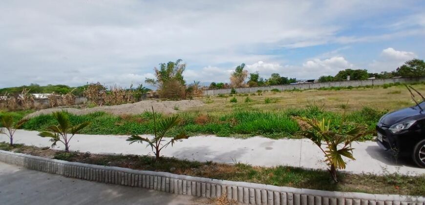 2,000 sqm Residential Lots in Brgy. Santa Cruz, Porac, Pampanga