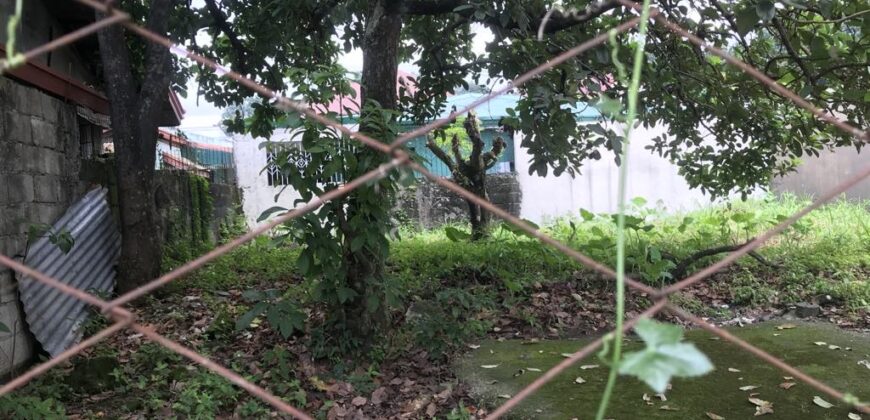 180 sq.m. Vacant Residential Village Lot in Northview 2, Quezon City
