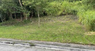 Cheapest Flat Lot For Sale in Premium Section of Sun Valley Estate, Antipolo, Rizal